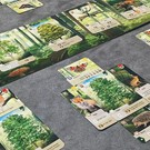 Foto van speelgoed 07_Forest_Shuffle_mMYRorAPAn6670OEJSUxXD5KHpUHlDd0AeHrN8tmjeZN9MVKONpraXD4s4DjtAnK.jpg